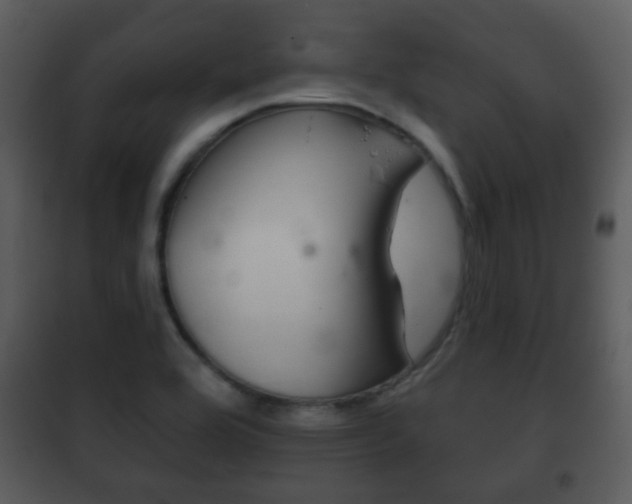 X0000101981464200807180748