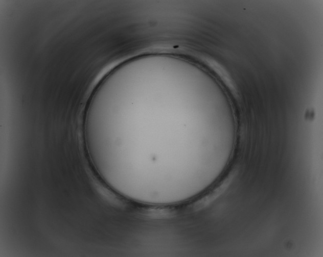 X0000101981465200807180748