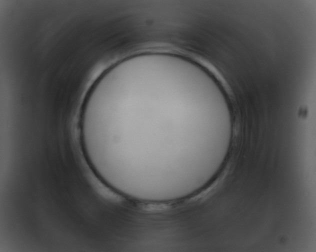 X0000101981466200807180748