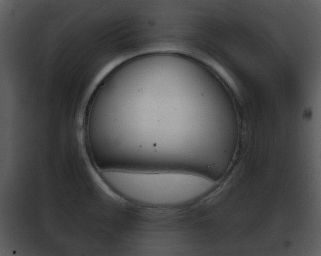 X0000101981468200807180748