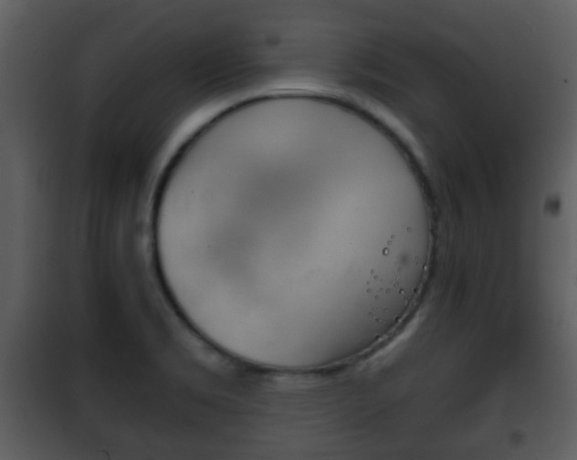 X0000101981469200807180748