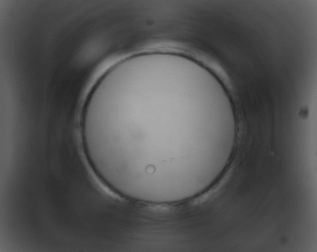 X0000101981470200807180748
