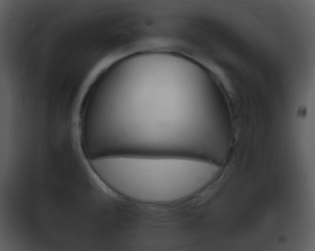 X0000101981472200807180748