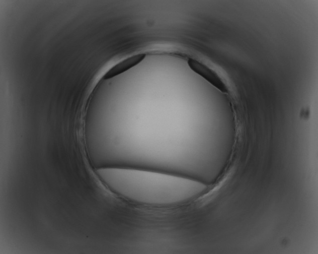 X0000101981473200807180748