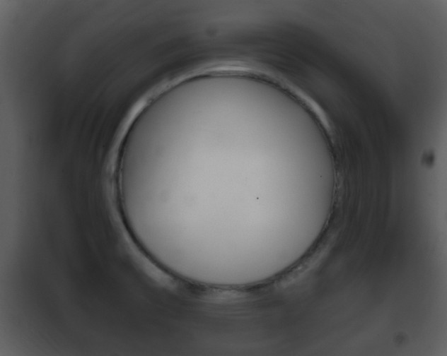 X0000101981475200807180748
