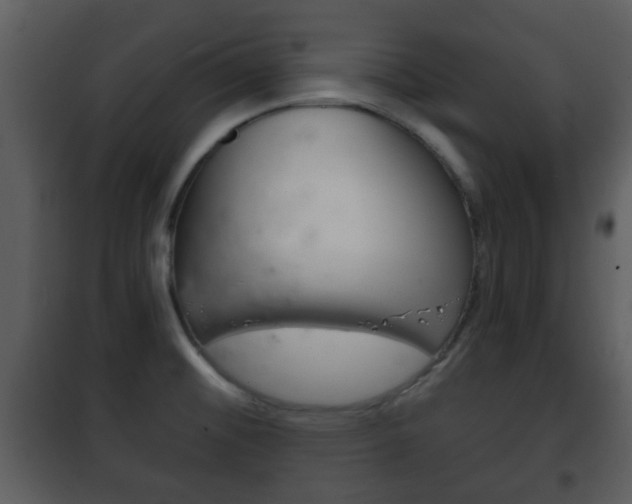X0000101981476200807180748