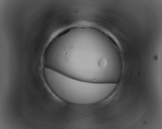 X0000101981477200807180748