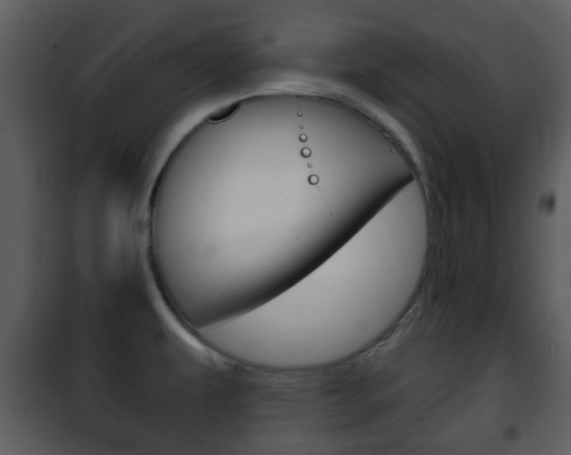 X0000101981479200807180748
