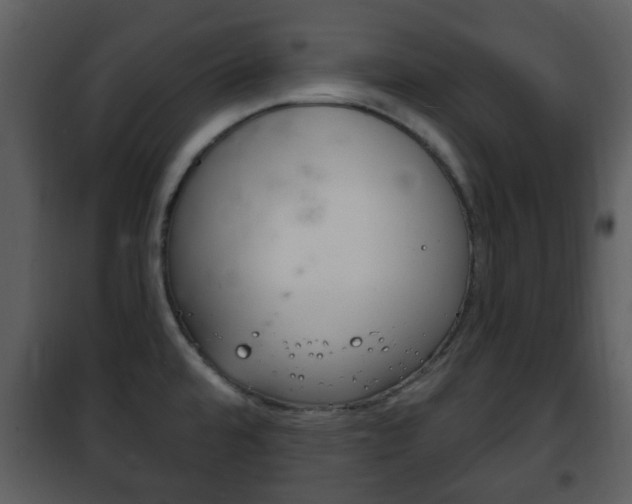 X0000101981480200807180748