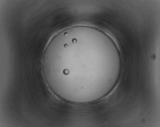 X0000101981481200807180748