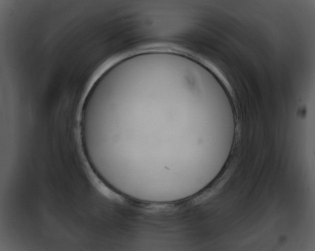 X0000101981482200807180748