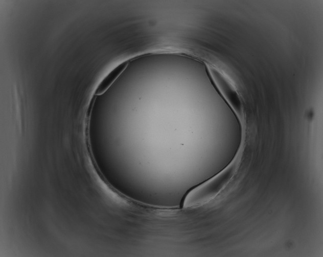 X0000101981484200807180748