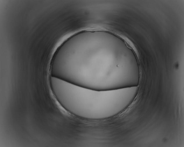 X0000101981485200807180748