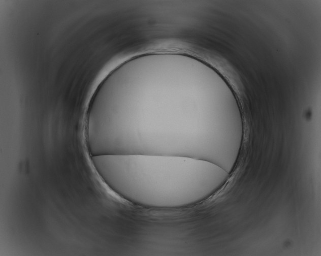 X0000101981486200807180748