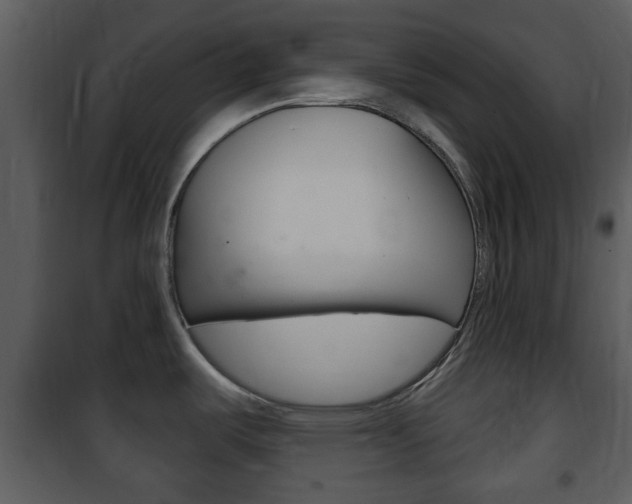 X0000101981487200807180748