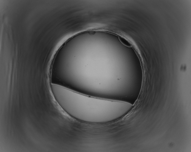 X0000101981488200807180748