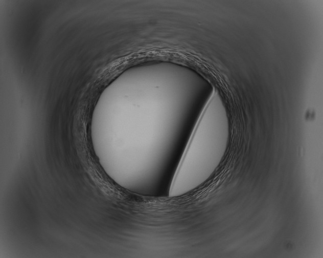 X0000101981489200807180747