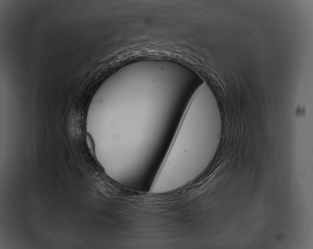 X0000101981490200807180747