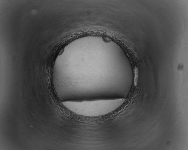 X0000101981491200807180747