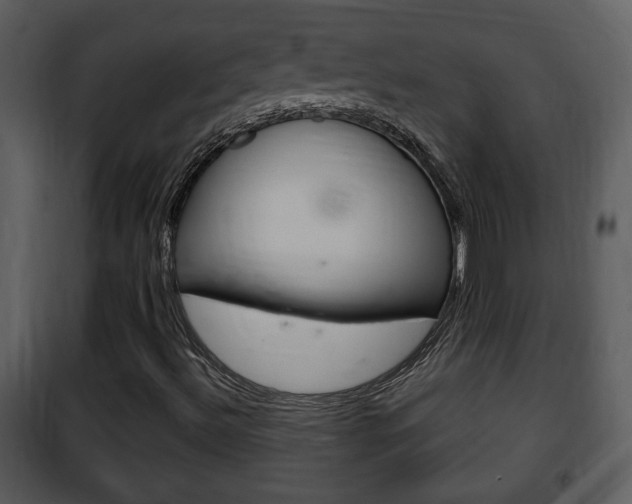 X0000101981492200807180747