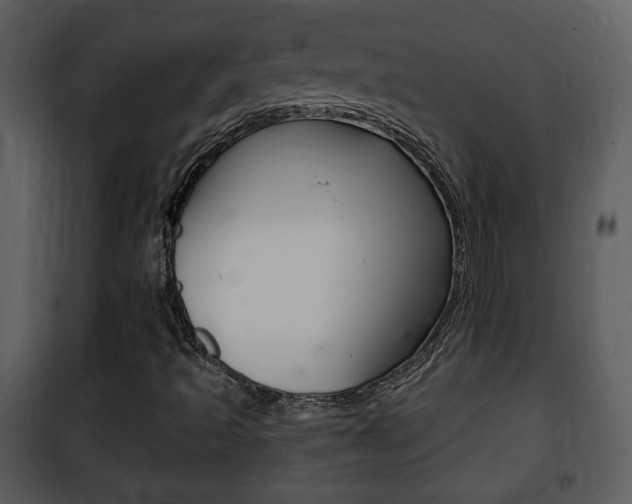 X0000101981493200807180747