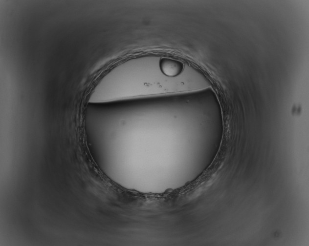 X0000101981494200807180747