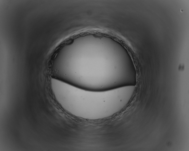 X0000101981496200807180747