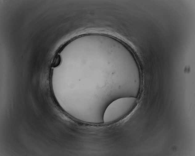 X0000101981498200807180747