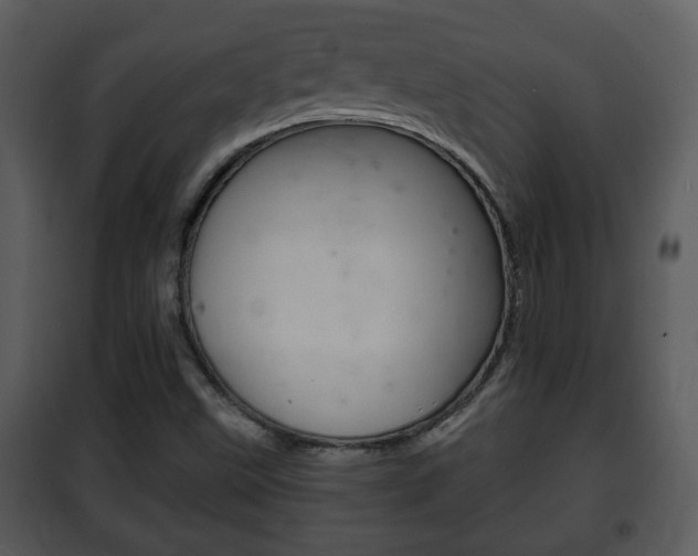 X0000101981499200807180747