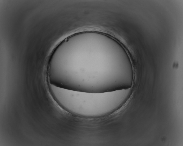 X0000101981500200807180747