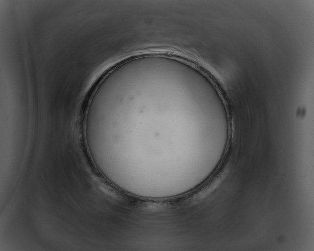 X0000101981501200807180747