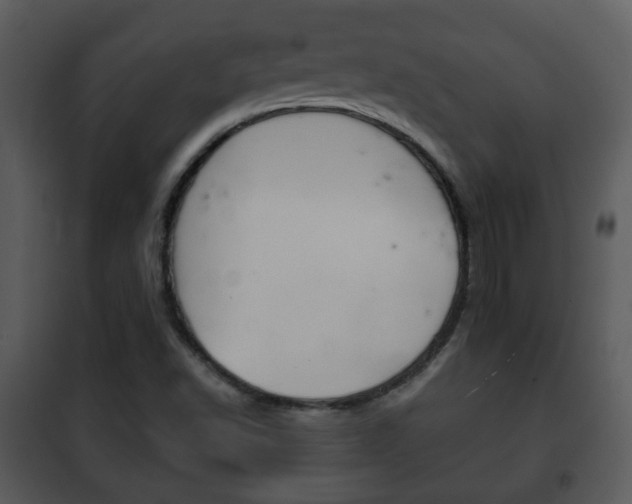 X0000101981502200807180747