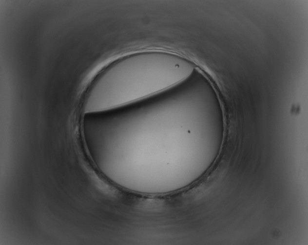 X0000101981503200807180747