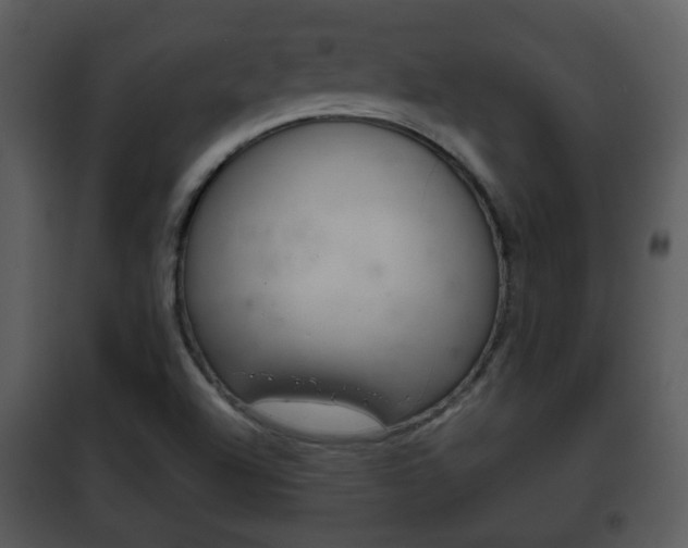 X0000101981504200807180747