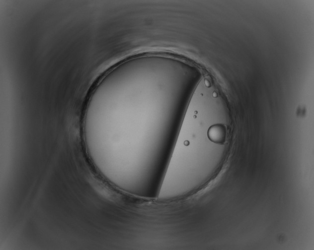 X0000101981505200807180747