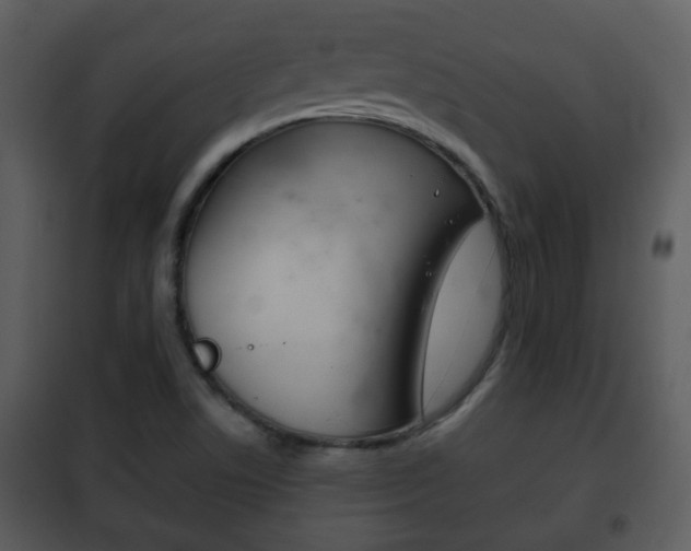 X0000101981506200807180747