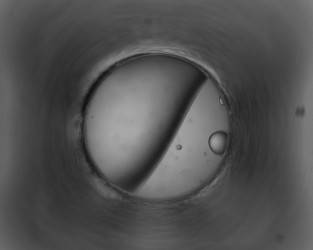 X0000101981507200807180747