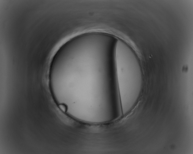 X0000101981512200807180747
