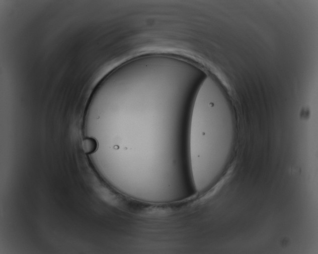 X0000101981513200807180747