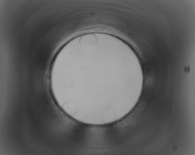 X0000101981514200807180747