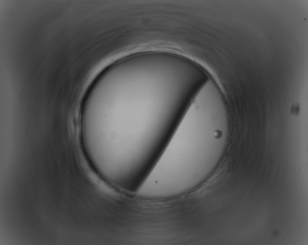 X0000101981515200807180747