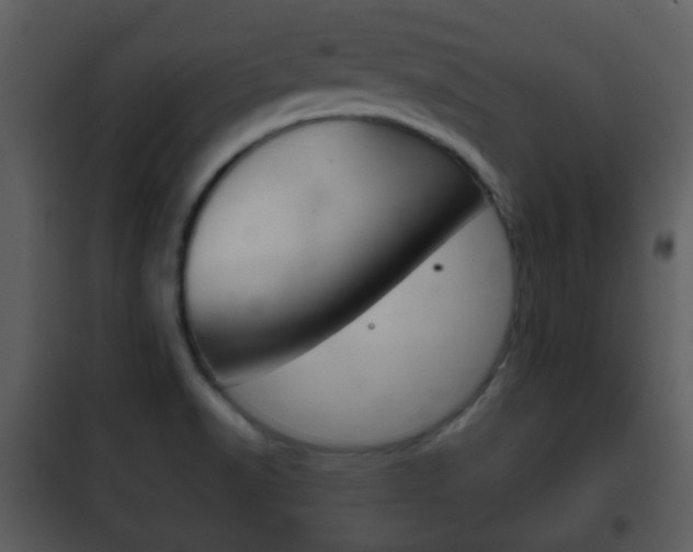 X0000101981518200807180748