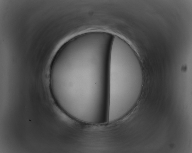 X0000101981519200807180748