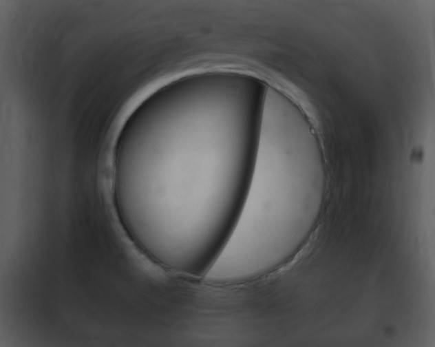 X0000101981520200807180748