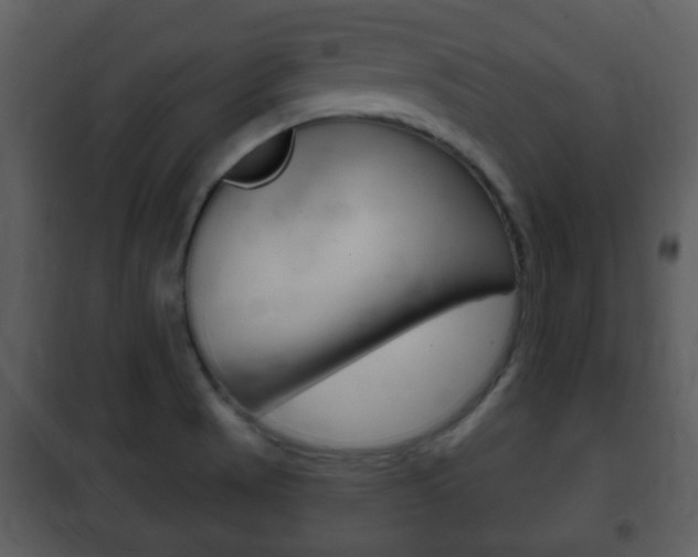 X0000101981521200807180748