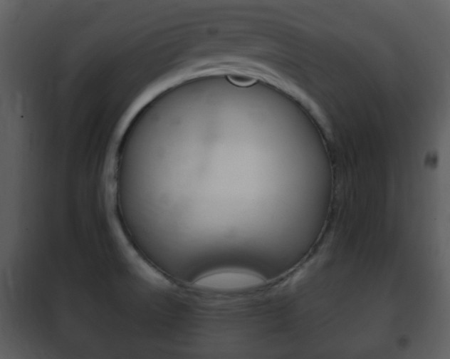 X0000101981522200807180748