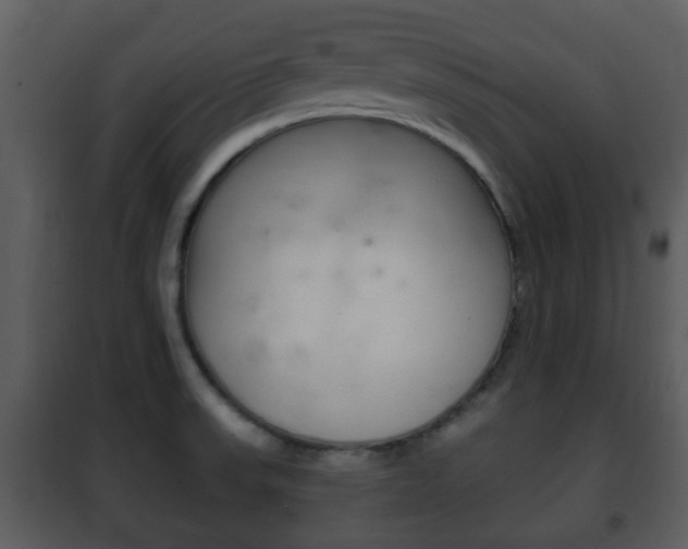 X0000101981523200807180748
