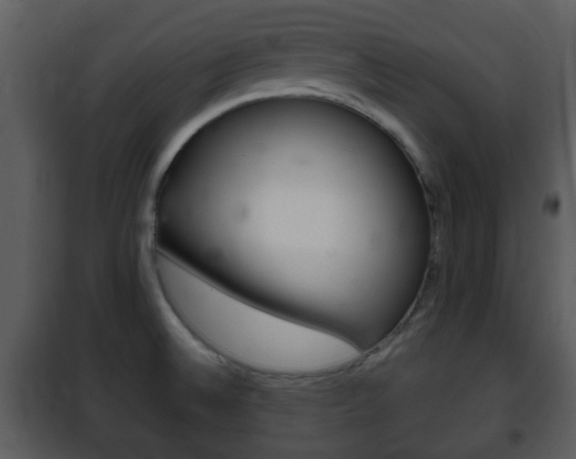 X0000101981524200807180748