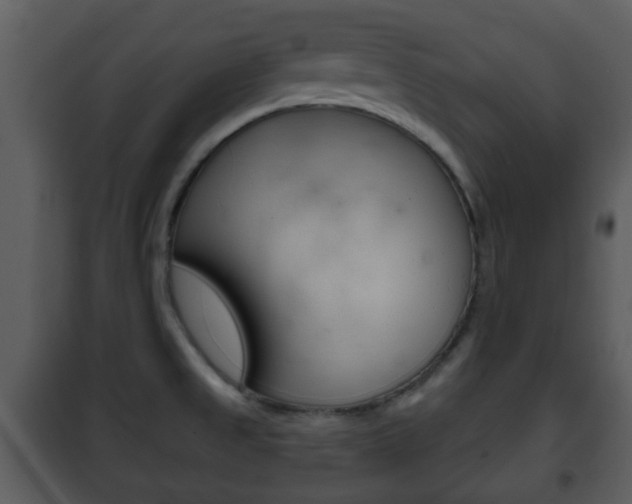 X0000101981525200807180748