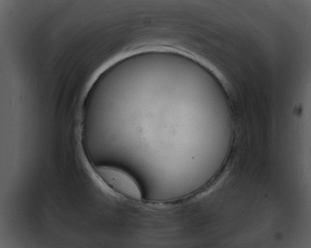 X0000101981526200807180748